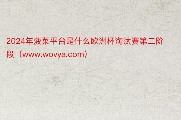 2024年菠菜平台是什么欧洲杯淘汰赛第二阶段（www.wovya.com）