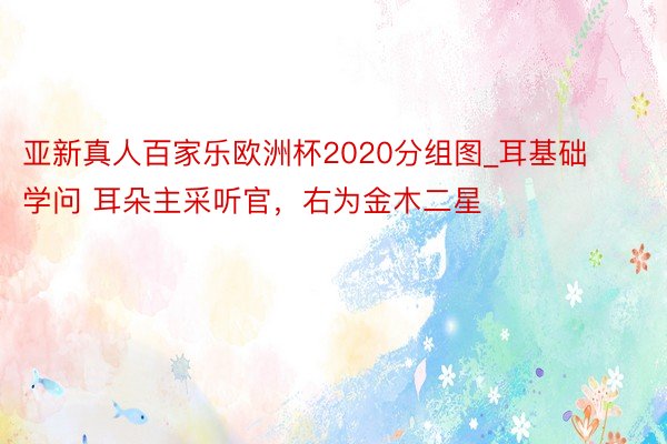 亚新真人百家乐欧洲杯2020分组图_耳基础学问 耳朵主采听官，右为金木二星